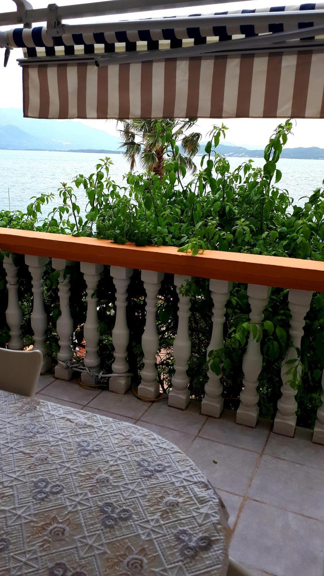 Apartmani Kalinic Bijela Quarto foto
